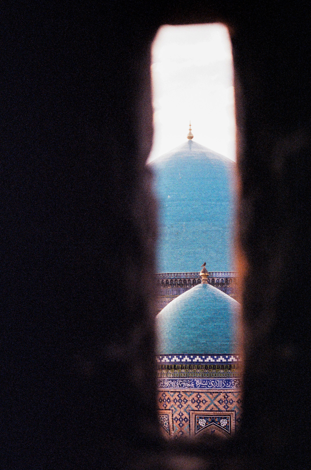 Photo 46